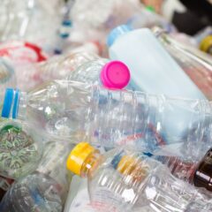 Ekologia dziś. Jak wpływać na świadomość społeczną dotyczącą szkodliwości plastiku?