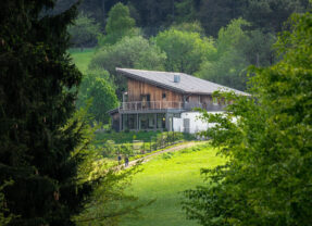 Panele ogrodzeniowe 5 mm – trwałe i estetyczne rozwiązanie dla Twojej posesji